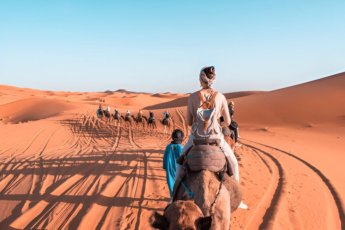 Clients riding camels through the Sahara during the 2-day Marrakech to Erg Lihoudi tour