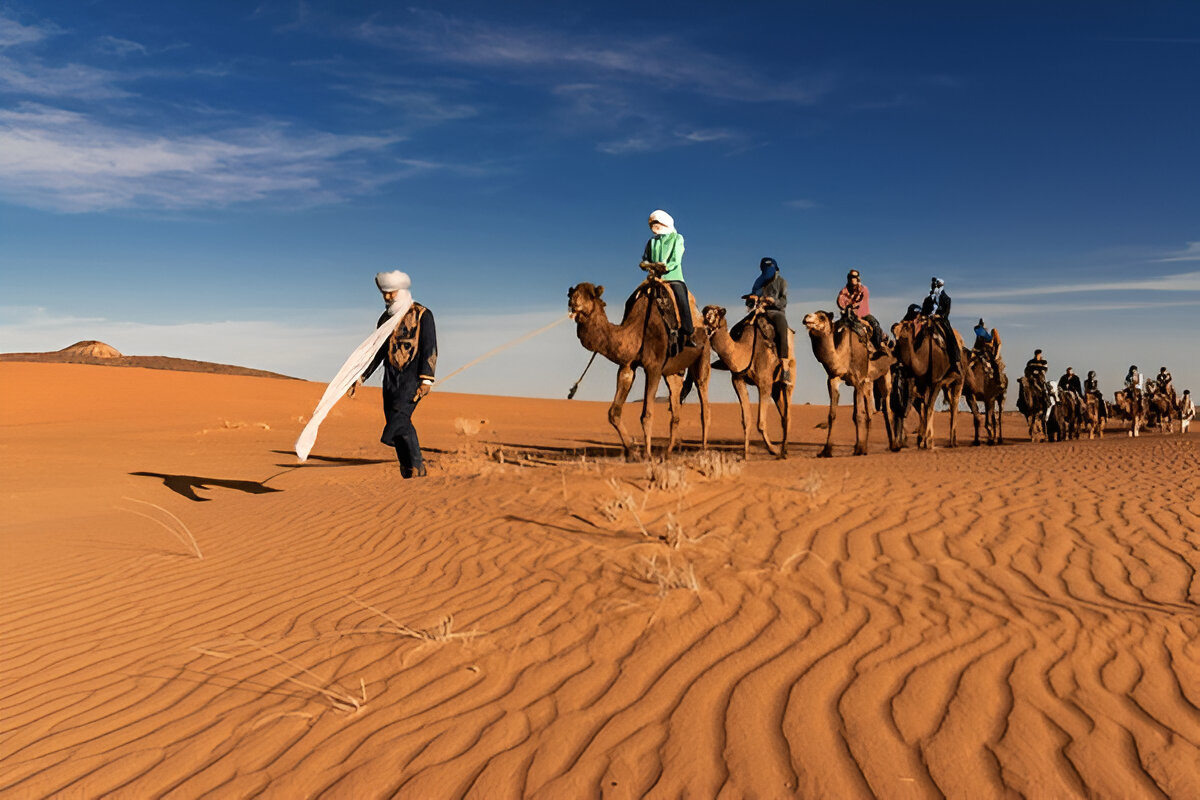 Group of travelers riding camels in Zagora Desert during a shared 2-day tour from Marrakech Morocco