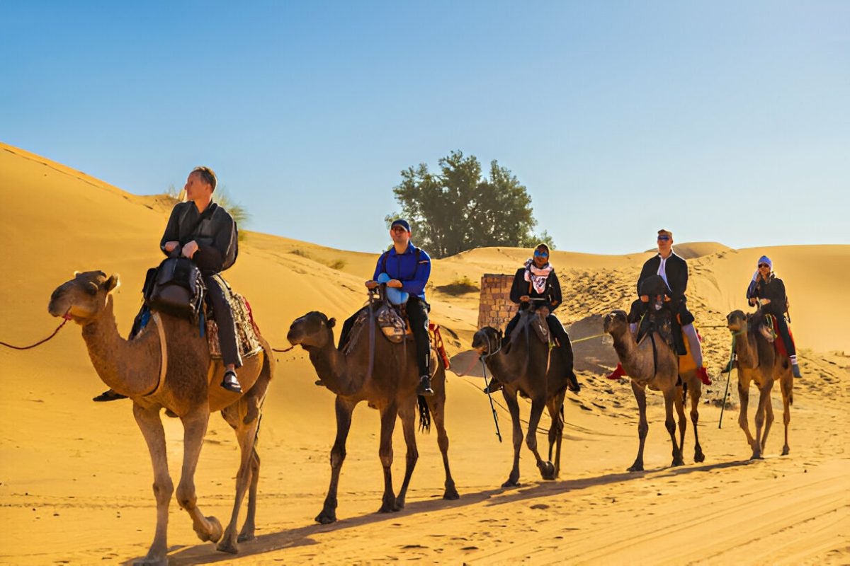 Guests riding camels across the big dunes of Erg Chigaga Sahara Desert on a private tour from Fes Morocco