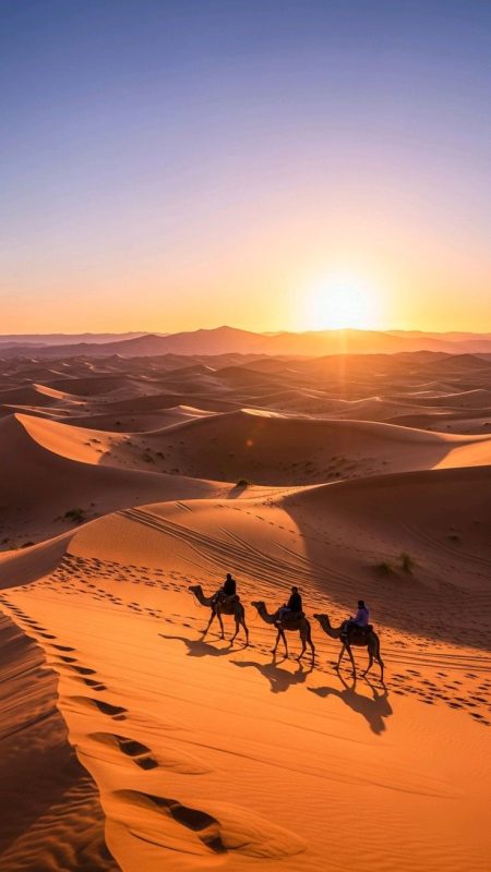 Guests enjoying camel riding at sunset in Zagora Desert with local guide