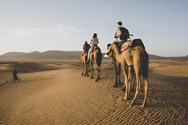 Travelers enjoying a scenic camel ride in Zagora desert during the 2-Day Zagora Desert Tour from Marrakech