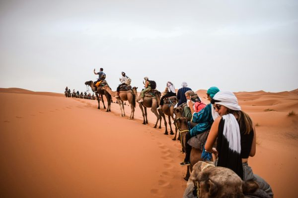 Happy travelers enjoying camel riding experience in Zagora Desert with local guide