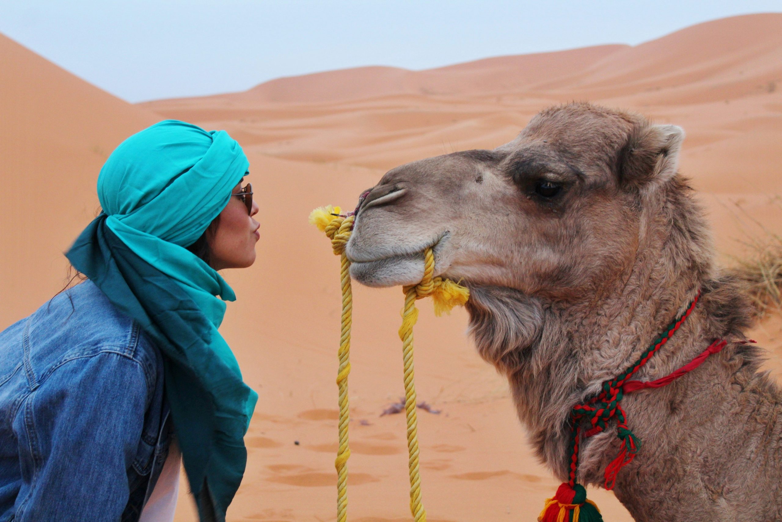 Girl riding camel in Zagora Desert, Morocco at sunset