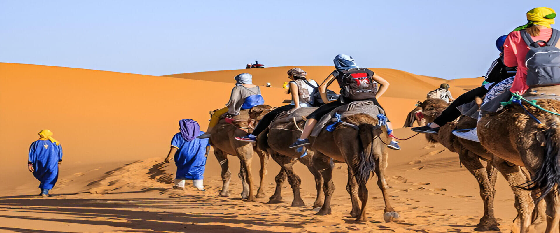 Camel ride in the Merzouga desert during a 3-day tour from Ouarzazate with golden sand dunes at sunset