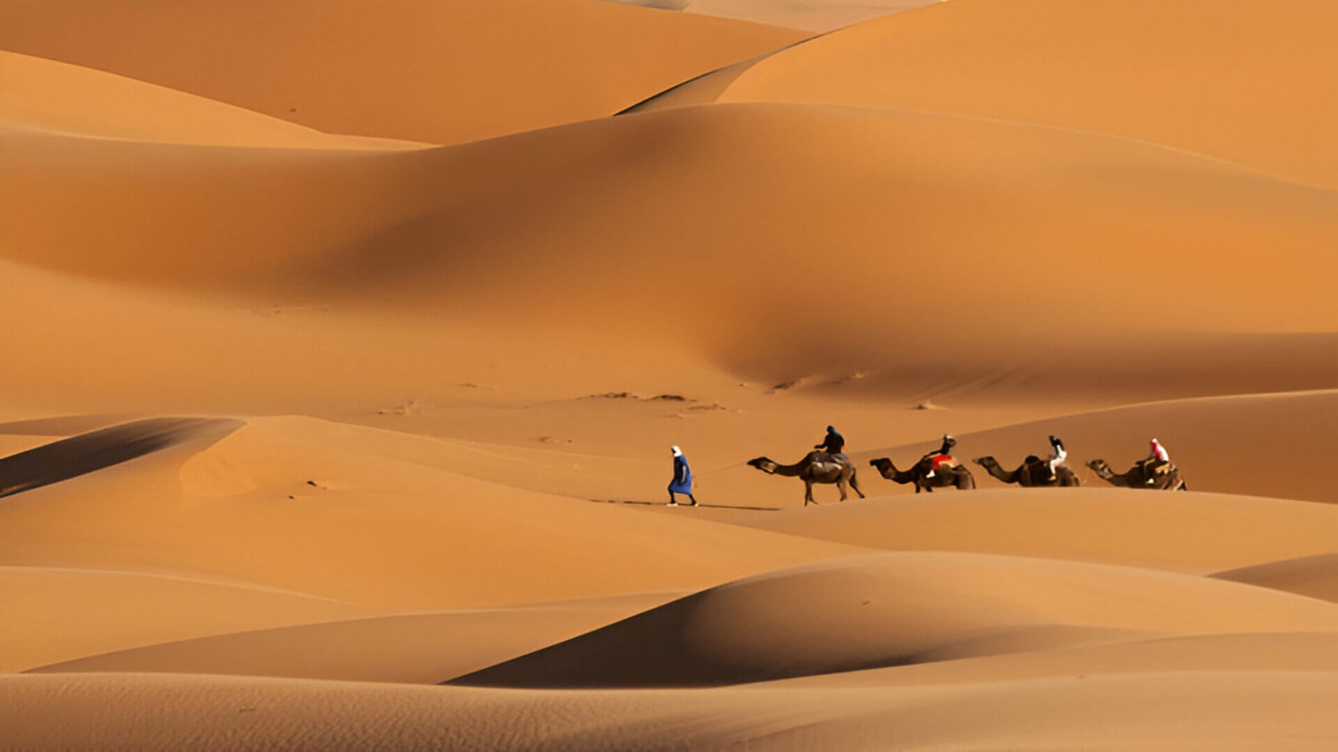 Camel trekking in Erg Chigaga desert with big dunes during a 2-day tour from Ouarzazate