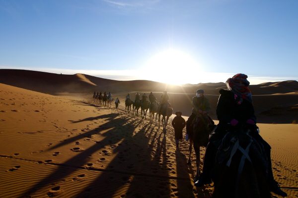 Group of guests enjoying a sunset camel ride during a 3-day shared Marrakech to Fes desert tour