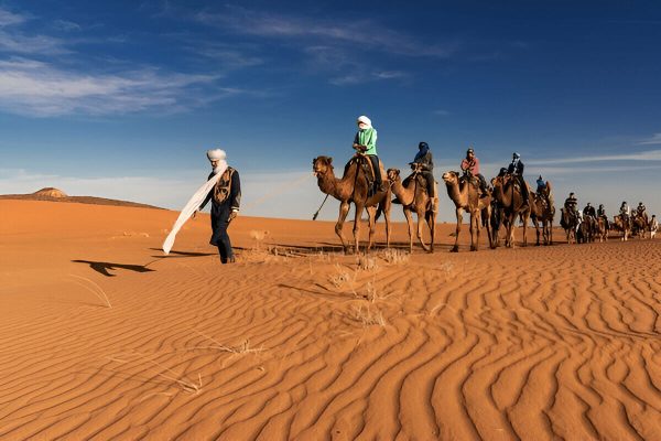 Camel ride in the Zagora desert during a shared desert tour from Marrakech