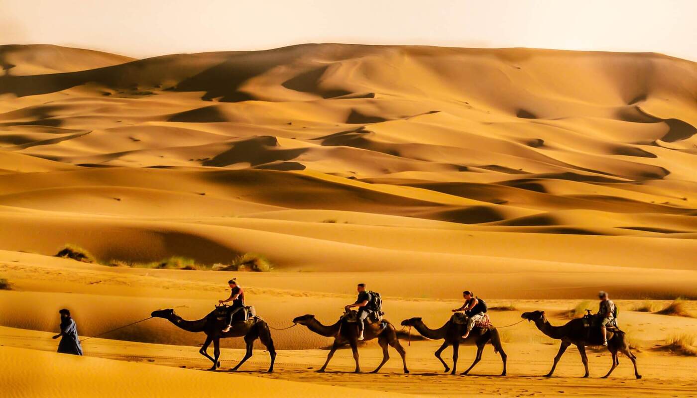 Group enjoying a camel ride across the Sahara dunes