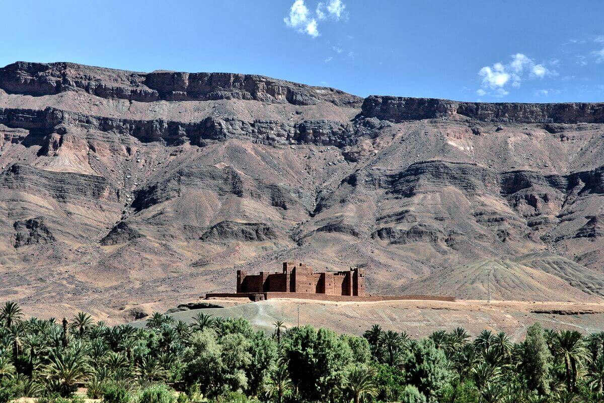 Draa Valley palm trees and desert landscape near Zagora Morocco